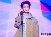 星辰与蔷薇：解码鹿晗的偶像成长方法论