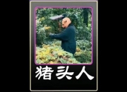 猪头人职业深度攻略