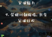 足球世界杯巅峰之战：冠军荣耀诞生记_绿茵场上的王者加冕时刻