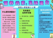 乳铁蛋白：铁结合糖蛋白的抗菌与免疫调节功能解析