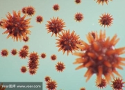 瘟疫公司真菌普通攻略痛点与解决方案全解析