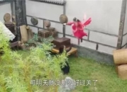 开始卷起来了？《绝对演绎》奋斗咖八天杀青两万部戏！