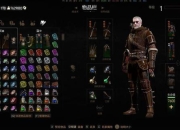 巫师3新手必备技巧与高效通关全流程详细指南