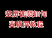 哔哩哔哩视频下载教程-手机电脑通用步骤与技巧详解