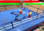 游戏拳击之星攻略卡关操作难点解析与制胜技巧指南