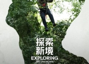 密林光影纪行：探寻自然录影中的生态秘境