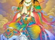 普贤菩萨_属蛇者的智慧守护与行德象征