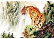 2010年属虎命运解析：金虎命与松柏木命双重特质