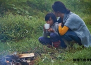 情感困境的社会镜像