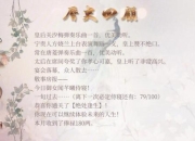 王的女人全章节通关秘籍与角色好感度培养进阶攻略