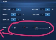 王者荣耀怎么隐身在线不被发现？一键设置教你轻松解决