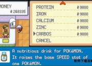 皮卡丘全方位培养指南