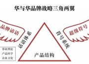 《fsn攻略：痛点剖析与解决方案全解析》