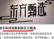 东网发展遇瓶颈 这些举措助力突破困局