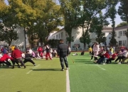 拔河小游戏 绳索较量聚欢乐时光齐心协力争锋对决