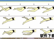 自由泳速度瓶颈解析_技术细节与力量训练如何突破