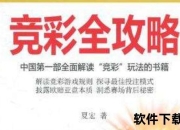 玩法全解析：玩哪个彩好及中奖策略深度探讨