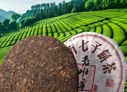 普洱布朗茶饼357克：价格行情与选购指南