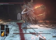 黑暗之魂三周目全BOSS无伤打法与隐藏武器收集路线详解