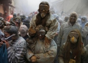 瘟疫公司纳米病毒终极攻略快速通关与突变技巧全解析