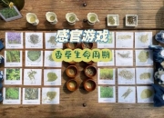 听视觉小游戏：开启趣味感官新体验