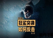 深海霸主影像纪实：揭秘鲨群迁徙之谜_独家追踪镜头首曝