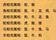 生肖鸡相冲属相解析：与兔相冲的影响与化解