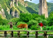 清芸致秘境漫游指南：江南最后的诗意栖居