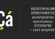 Bebas字体免费下载-高品质英文字体库资源获取指南