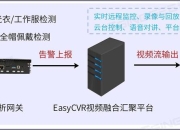 异常AI游戏行为解析与高效应对策略：全关卡通关技巧及隐藏机制详解