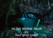 glow worm游戏攻略：卡关频繁？掌握快速通关技巧轻松突破