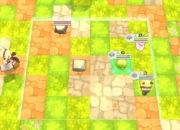 宠物迷宫第六期完整路线解析及隐藏区域解锁必备技巧指南