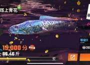 打鱼达人必学三大技巧提高命中率稳赚不赔实战攻略