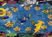 bq66佳好捕鱼游戏技巧全解析