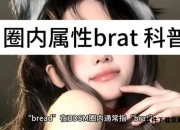 Braid全流程图文攻略与深度解析