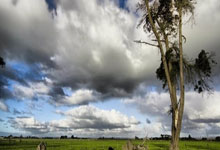 荆棘与温柔，玫瑰的哲学