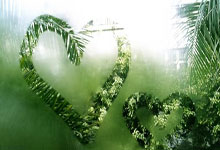 秋之魂，菊，风骨与温情的礼赞